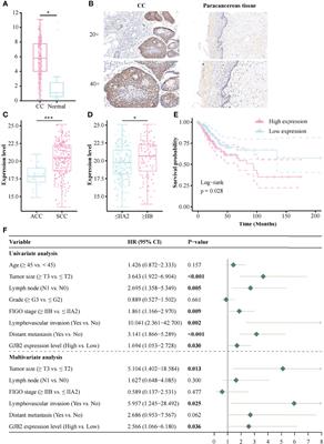 The prognostic value and biological significance of gap junction beta protein 2 (GJB2 or Cx26) in cervical cancer